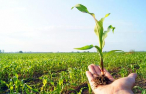 El presidente del CODIA pide mejorar salarios ingenieros agrónomos.